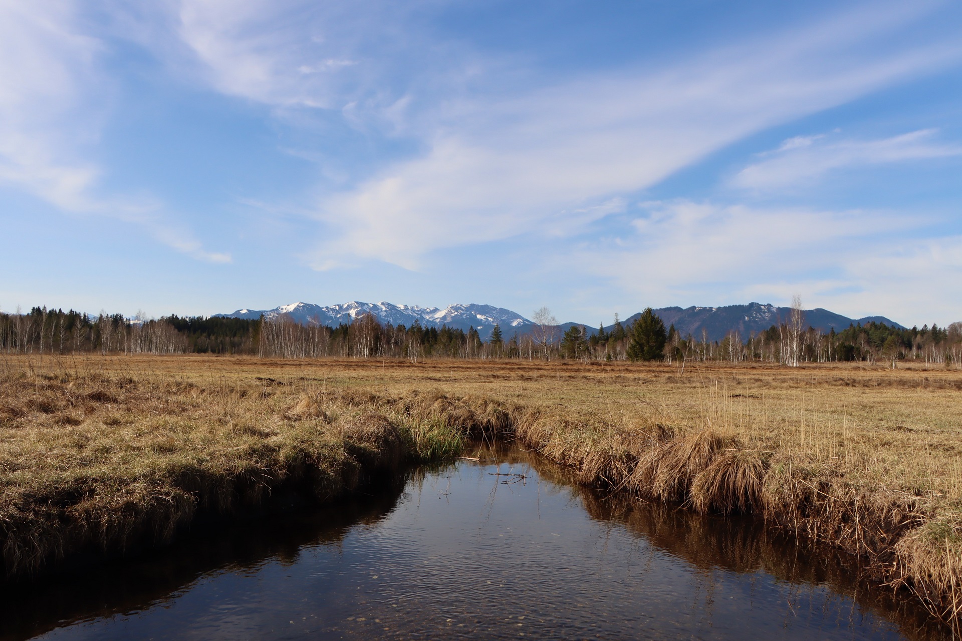 Ellbach-Kirchsee-Moor