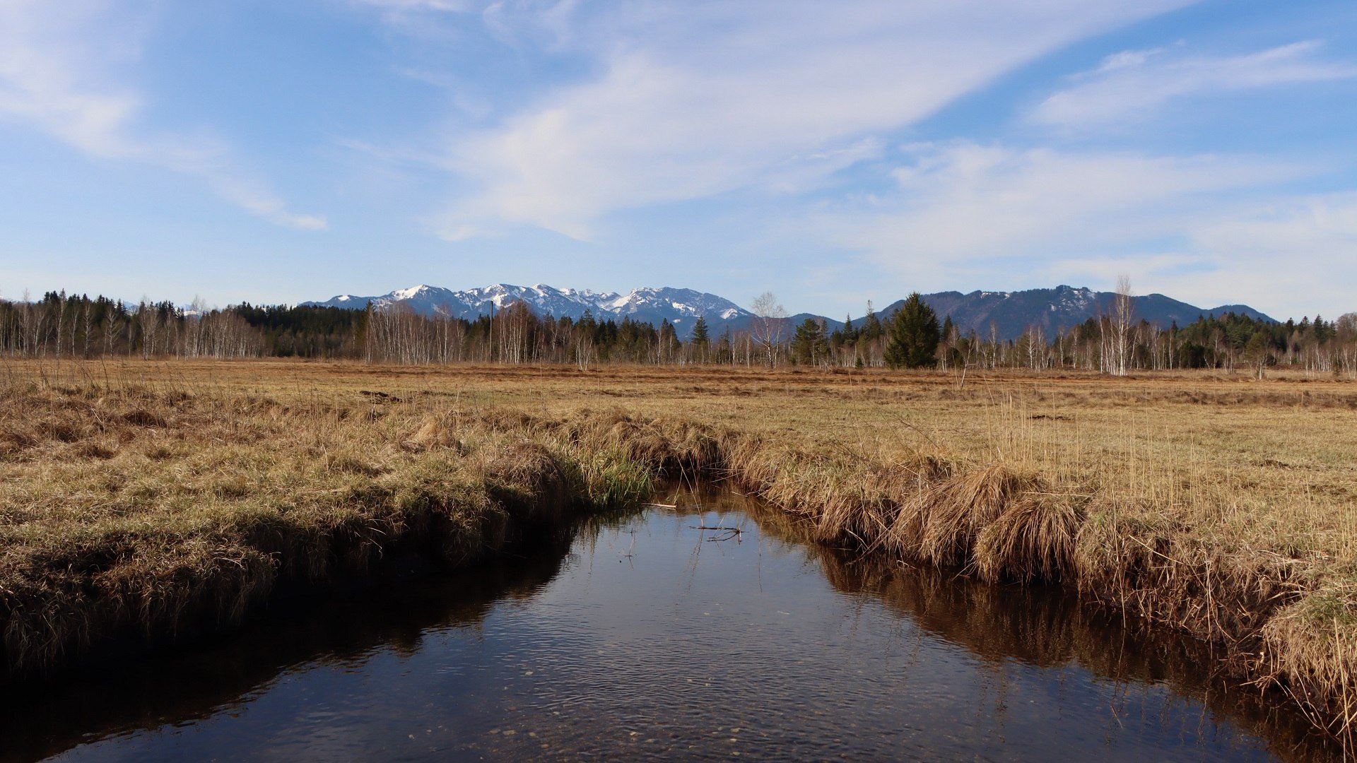 Ellbach-Kirchsee-Moor, © Johanna Kirschenhofer