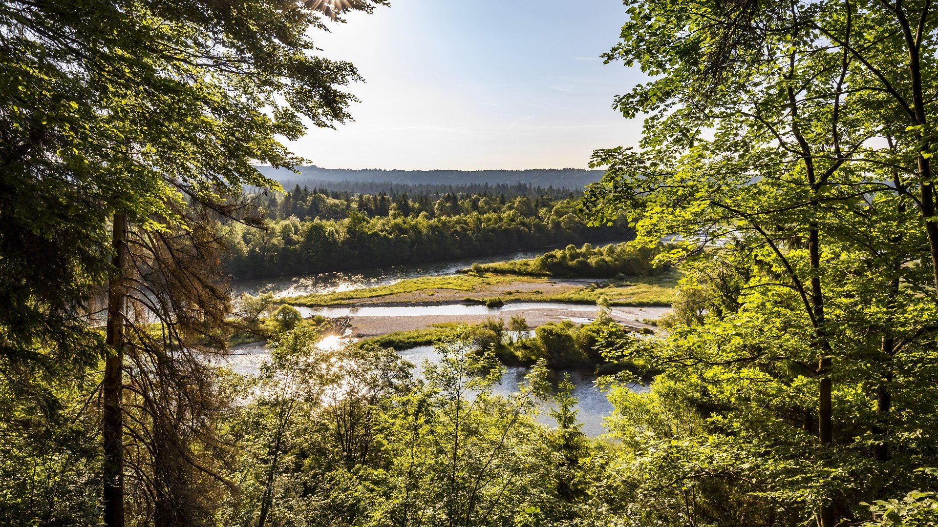 Ein Stück &quot;Urwald&quot; an der Isar ganz nahe der Stadt Wolfratshausen , © Stadt Wolfratshausen|Adrian Greiter