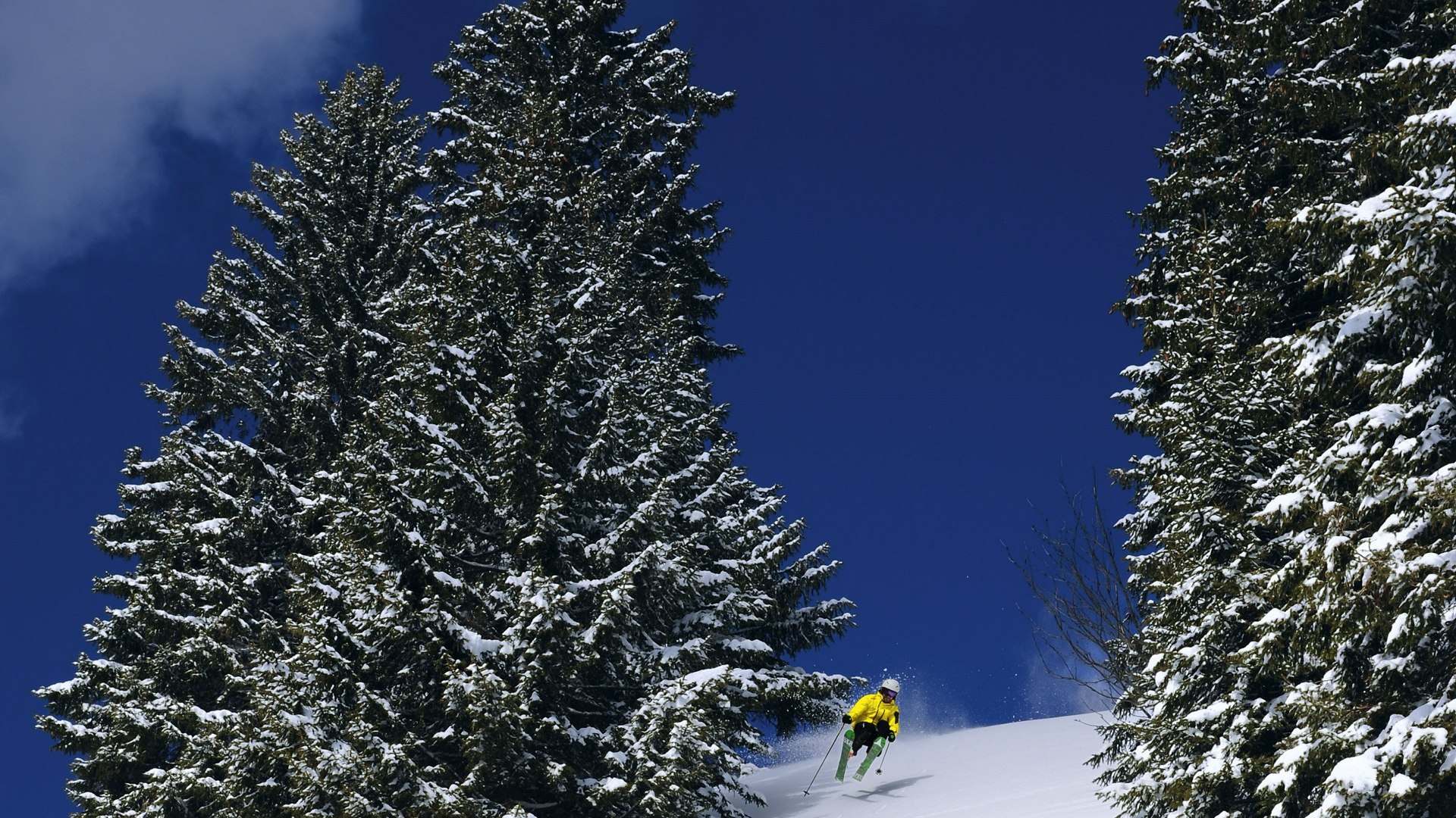 Die Skischule Ecki Kober will Menschen in ihren Kursen für den Schneesport begeistern und zugleich für die grandiose Natur sensibilisieren, © Skischule Ecki Kober