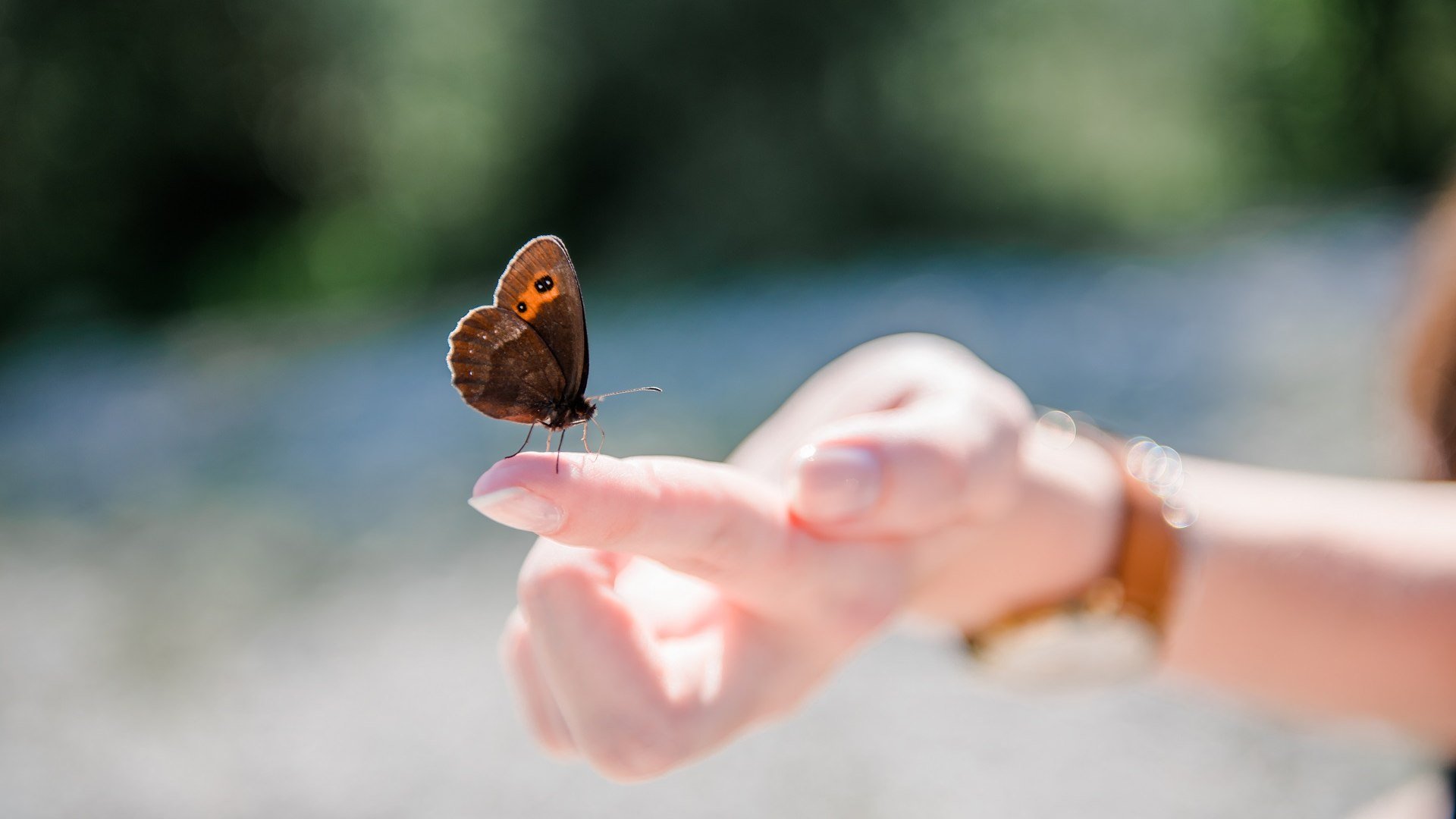 Welch ein Glücksgefühl, wenn sich ein zarter Schmetterling auf den Finger setzt, © Archiv Tölzer Land Tourismus|Leonie Lorenz