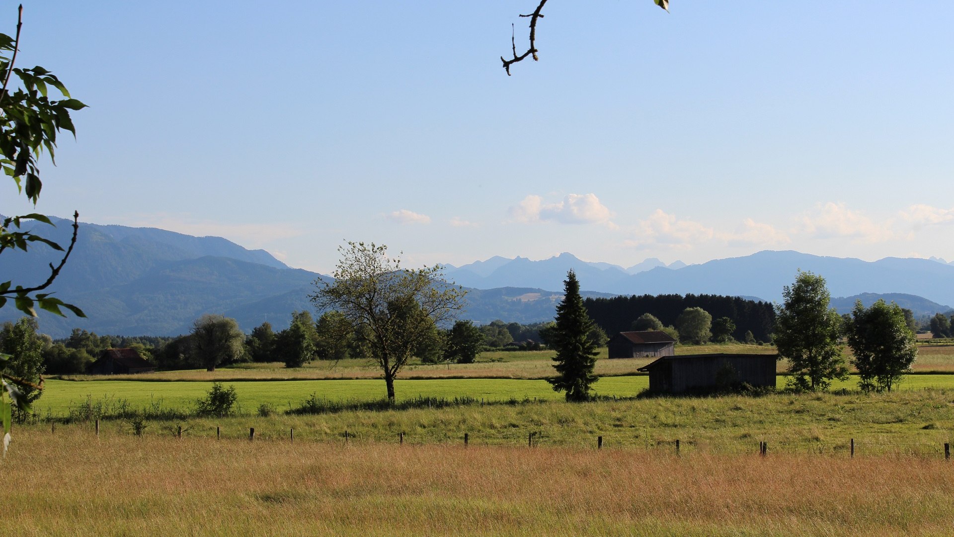 Das &quot;Moos&quot; zwischen Benediktbeuern und dem Kochelsee entlang der Loisach ist ein 1830 ha großes Naturschutzgebiet mit besonders seltenen Tier- und Pflanzenarten. Deshalb gelten hier strenge Schutzvorschriften!, © Gästeinformation Benediktbeuern | Sabine Rauscher